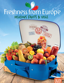 FRESHNESS poster 490x690