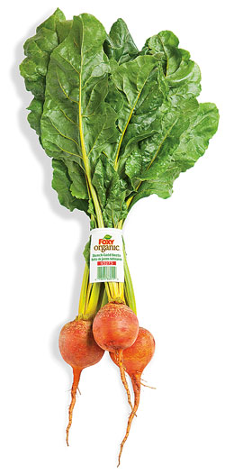 FXY Beets Gold O CMYK