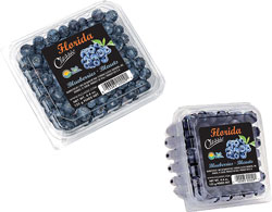 FlClassicBlueberry-2