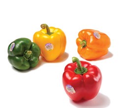 NFF-Peppers-ORGANIC-Quad Color-PLU-Group-4769P