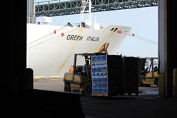 Gloucester-Terminal