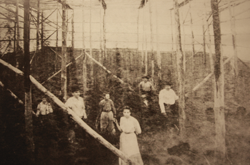OLD-PLU-PRODUCTION