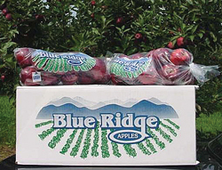 Blue-Ridge-Red-Del