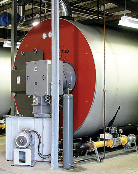 Village Farms Boiler