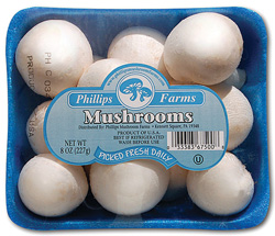 white8ozBG